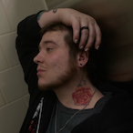 thDEVILS_BUTCHER's Avatar'