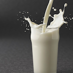 Senior_Milk's Avatar'
