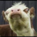 Maverick_1's Avatar'