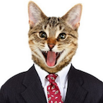 Troyansky_Cat's Avatar'