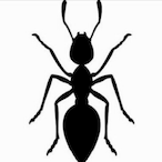 Breviatti_sz's Avatar'