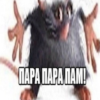 blizardi_nNdorN's Avatar'