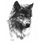 Wolvenhardt's Avatar