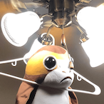 TheEmoChicken's Avatar'