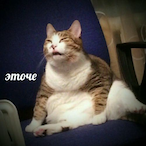 AureliusNSK's Avatar'