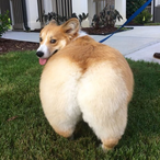 egirlslayer997's Avatar'