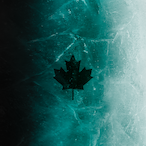 xTrizzy15x's Avatar'