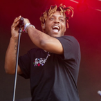 Veerrtteexx's Avatar'