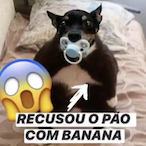 I0 02 2006's Avatar'