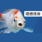 MyDearestFriend's Avatar'