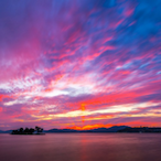 serious-shiner83's Avatar'