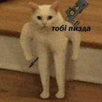 loh759's Avatar'