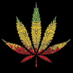 cizzi.'s Avatar'