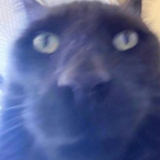 Kloak_'s Avatar'
