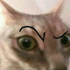 thekat0's Avatar'