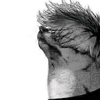 Moist_Crow's Avatar'