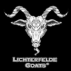 LFG_Ju1ian's Avatar'