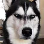 LucasBB5268's Avatar'