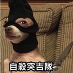 MangoLeaf_GnN's Avatar'