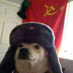 Guccuk_Gurba's Avatar'