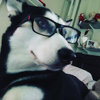 Dom_...'s Avatar'