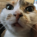 ImEx_PepikPupik's Avatar'