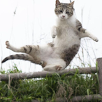 TheGoodJam's Avatar'