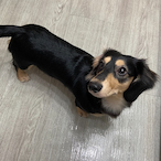 MANGONAMBERONE's Avatar'