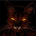 Jessdom_Cat's Avatar'