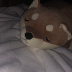 richelieud's Avatar'