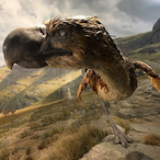 TerorChicken1's Avatar'