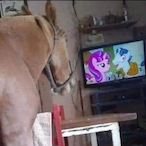 Cmdr.Fnqoff's Avatar'