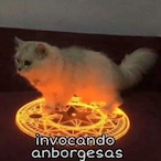 Unbiddenlowa00's Avatar'
