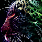 NovaBeast543's Avatar'