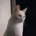 pdroxt_'s Avatar'