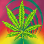 ll-Denn1s-ll's Avatar'