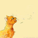 SealanCTvT's Avatar'