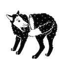 pogonya's Avatar'