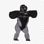 Skaj033_TtT's Avatar'