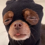 INNOXence.'s Avatar'