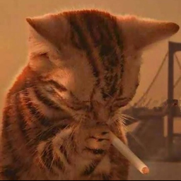 LuxFux._.