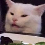 xcxmptonx's Avatar'