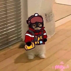 MKWichoLoco's Avatar'
