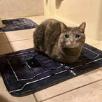 Loafcat73's Avatar'