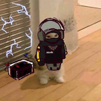 Tau11_'s Avatar'
