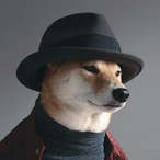 MainKingDoge's Avatar'