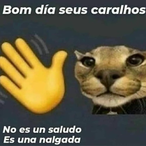 paauIo's Avatar'