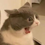 II_SweeTK_II's Avatar'