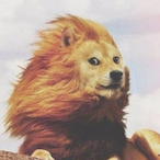 maxshoushou's Avatar'