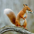 Asbestos-Eater's Avatar'
